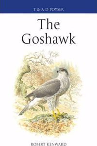 The Goshawk