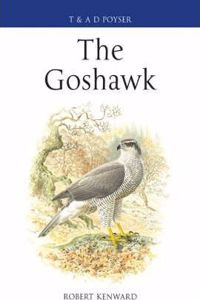 The Goshawk