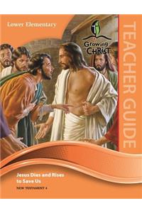 Lower Elementary Teacher Guide (Nt4)