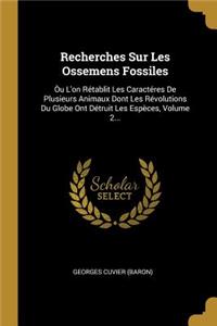 Recherches Sur Les Ossemens Fossiles