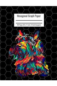 Hexagonal Graph Paper