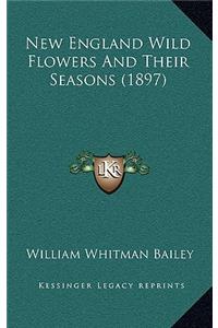 New England Wild Flowers and Their Seasons (1897)