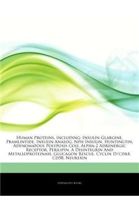 Articles on Human Proteins, Including: Insulin Glargine, Pramlintide, Insulin Analog, Nph Insulin, Huntingtin, Adenomatous Polyposis Coli, Alpha-2 Adr