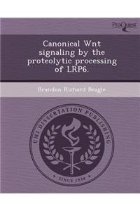 Canonical Wnt Signaling by the Proteolytic Processing of Lrp6