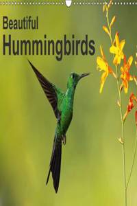 Beautiful Hummingbirds 2017