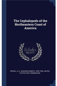 The Cephalopods of the Northeastern Coast of America