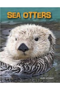 Sea Otters