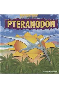 Pteranodon
