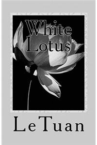 White Lotus