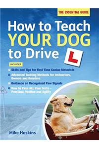 How to Teach your Dog to Drive