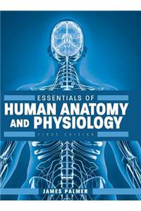 Essentials of Human Anatomy and Physiology