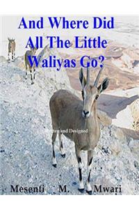 And Where Did All The Little Waliyas Go?