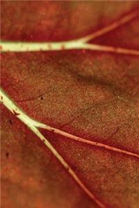 Autumn Leaf Veins Grid Notebook