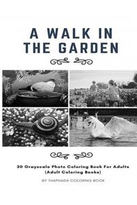 A Walk in the Garden