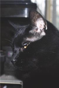 Black Bombay Cat Journal