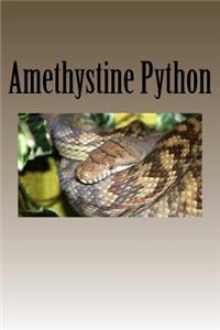 Amethystine Python