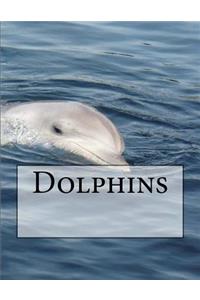 Dolphins