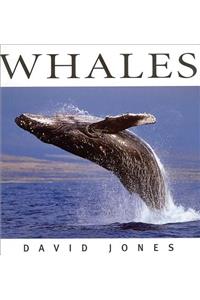 Whales
