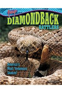 Diamondback Rattlers: America's Most Venomous Snakes!