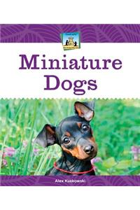 Miniature Dogs