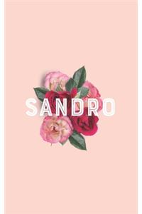 SANDRO 2020 Weekly Monthly Planner Book, Planner 2020, Personalized 2020 Planner for SANDRO A beautiful