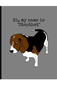 Hi, My Name Is 