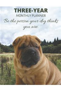 Three Year Monthly Planner Starting 2020 Agenda with Weekly Plan Space - Best Gift For Dog Owner - Funny Shar Pei Appointment Book for 2021 & 2022