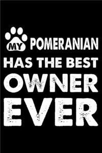 My Pomeranian Has The Best Owner Ever