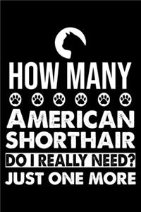 How Many American Shorthair Do I Really Need? Just One More