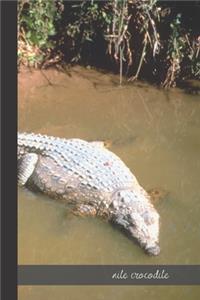 nile crocodile