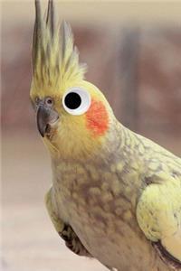 Googly Eye Cockatiel Journal