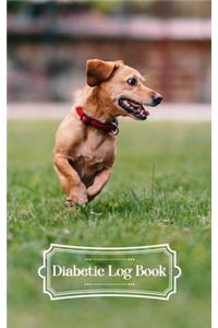 Diabetic Log Book
