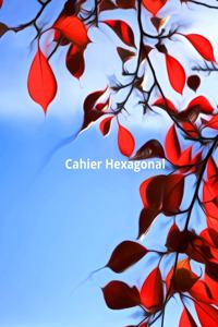 Cahier Hexagonal