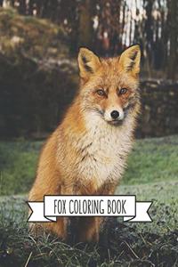 Fox Coloring Book