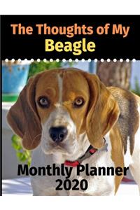 The Thoughts of My Beagle