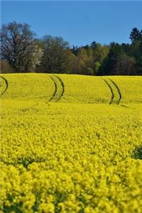 Magnificent Rapeseed Field Journal