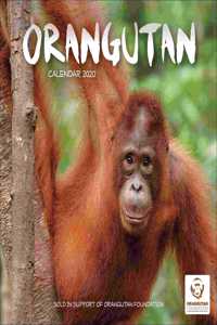 ORANGUTAN W 2020