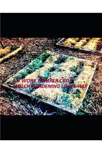 No Work Bumper Crop Mulch Gardening Using Hay