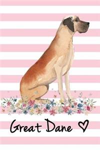 Great Dane