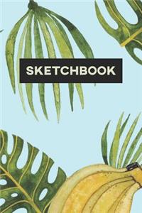 Sketchbook