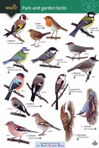 Park and garden birds