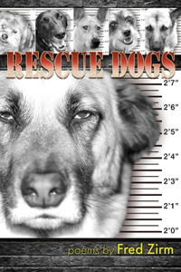 Rescue Dogs