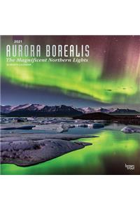 Aurora Borealis the Magnificent Northern Lights 2021 Square Foil
