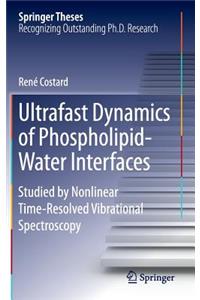 Ultrafast Dynamics of Phospholipid-Water Interfaces