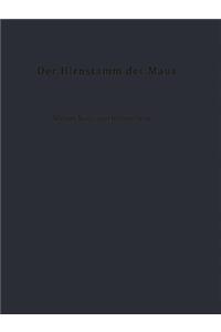 Der Hirnstamm der Maus