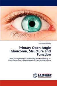 Primary Open Angle Glaucoma, Structure and Function