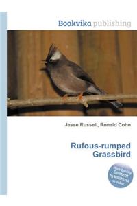 Rufous-Rumped Grassbird