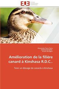 Amélioration de la Filière Canard À Kinshasa R.D.C..