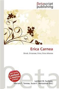 Erica Carnea