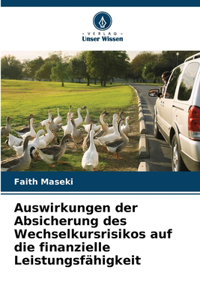 Auswirkungen der Absicherung des Wechselkursrisikos auf die finanzielle Leistungsfähigkeit